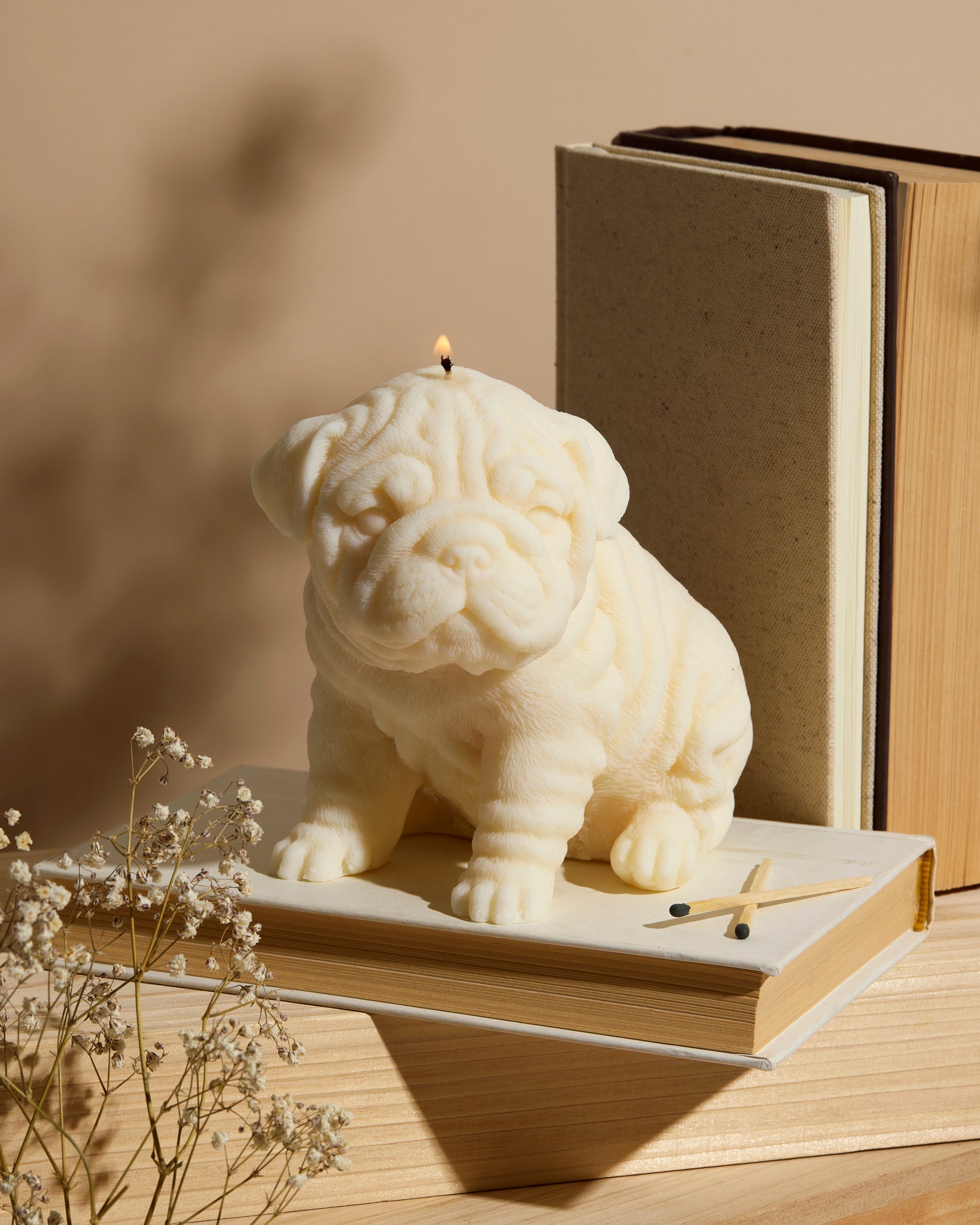 Shop All – stoiccandleco